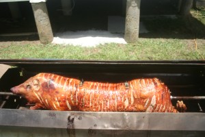 Mr Awesome, straight from the tanning salon