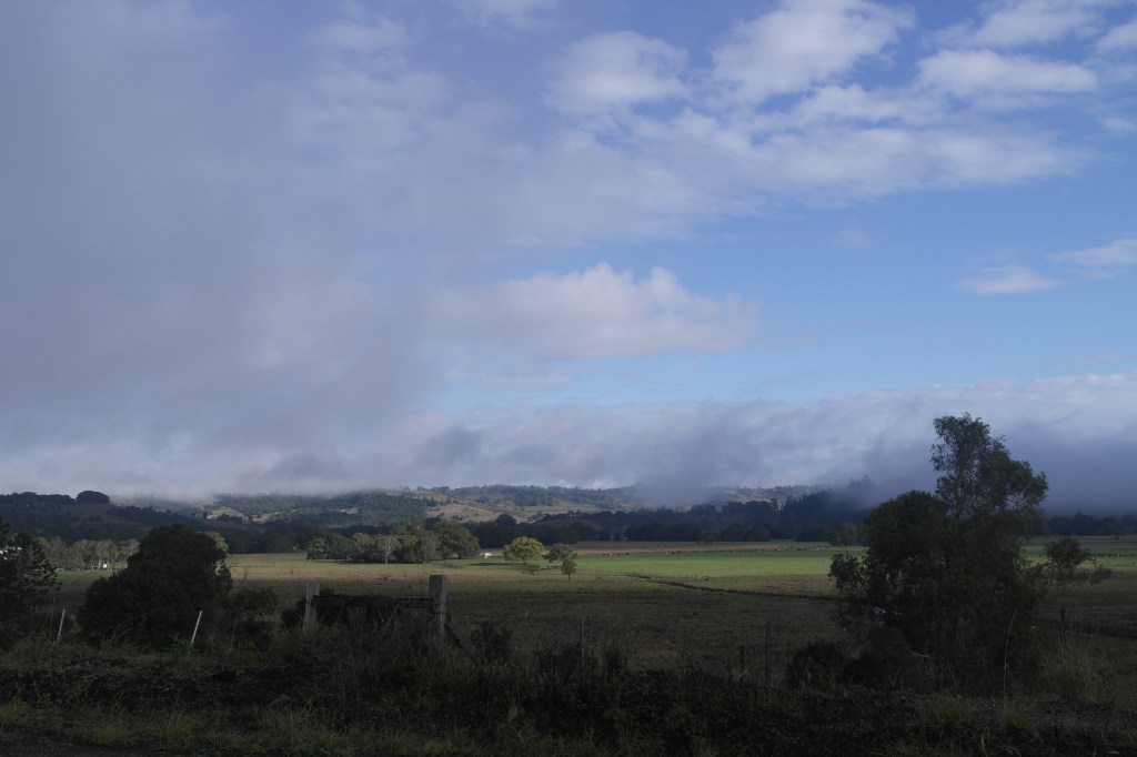 We left plenty early. This is some low cloud down the road from our house
