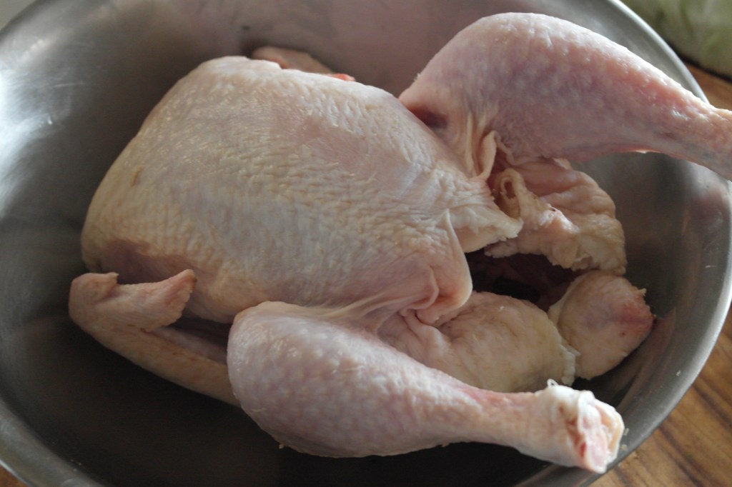 This chook wanna be loved