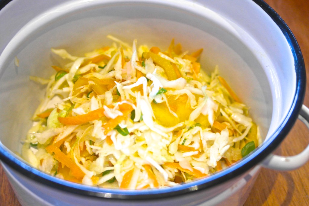 Put the 'slaw into something that you can eat out of. I found this small enamel pot type thing and thought I would get all arty