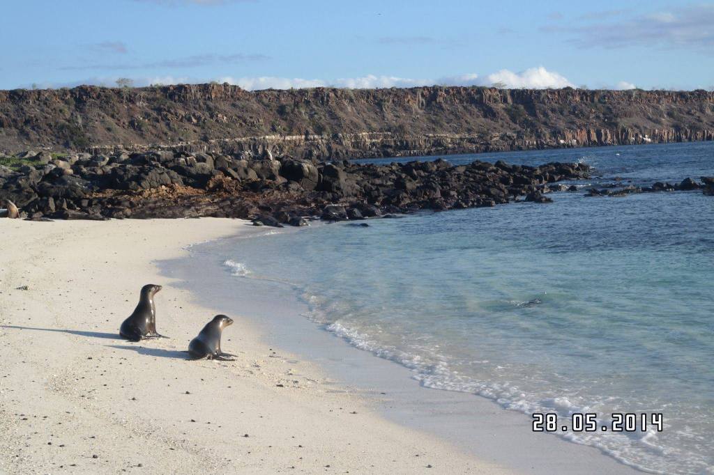 10414106_10152527208423783_1782029568_o