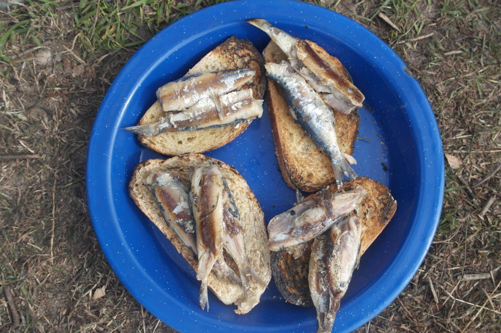 Fresh sardines on toast… just waiting for a splash of home made tomato sauce
