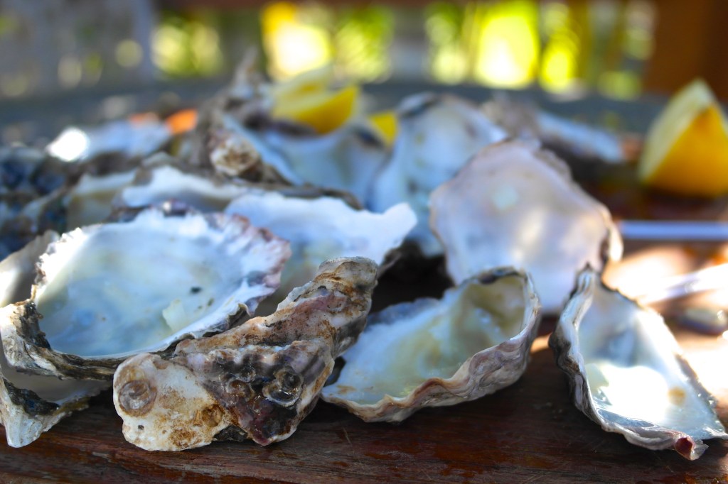 Fruitless searching revealed no extras for me