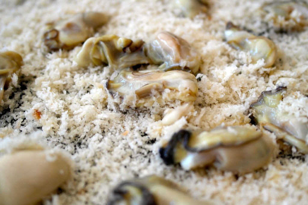 Crumby photo. Bahaha