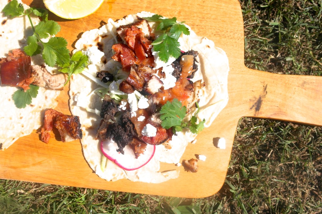 I really wish I could take better photos. I really do