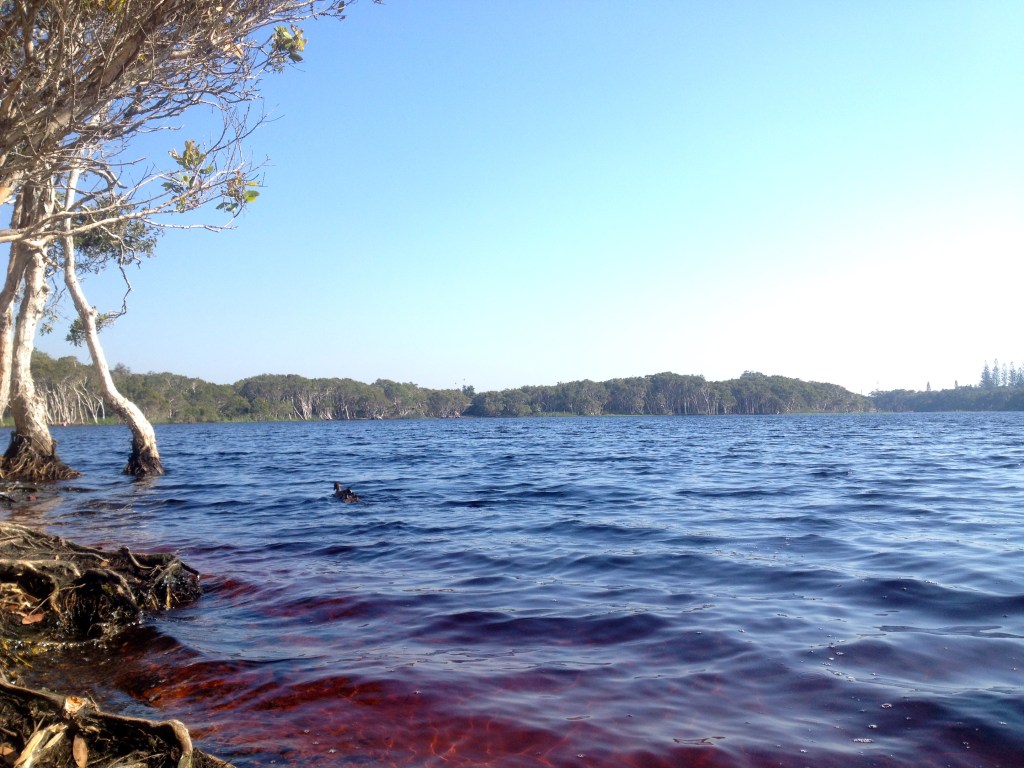 … and a short trek to Lake Ainsworth