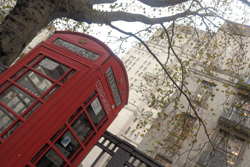 1502846_10152936000603783_6278200561437202322_o