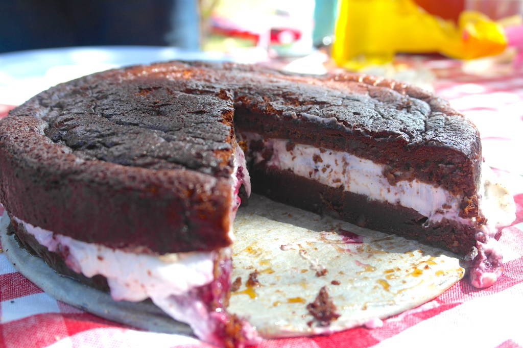 I made a cake. Chocolate fudge cake in fact, with a coconut and berry mousse centre. I based this recipe on one I found at heaps cool blog - Laura's Mess. I'll put the link at the bottom of the page because I can't put it in this caption