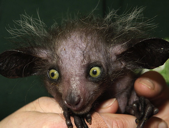 Not sure where this photo came from...