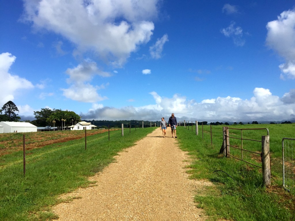 Walking in the country air is good for your health
