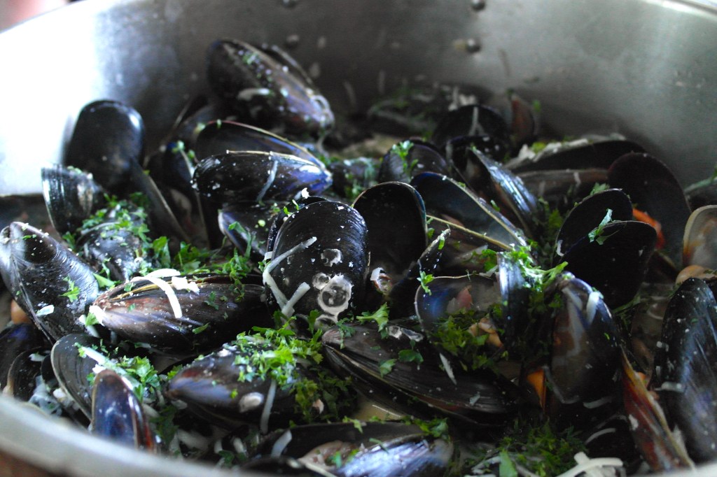 mussels with bacon, apple cider and cream