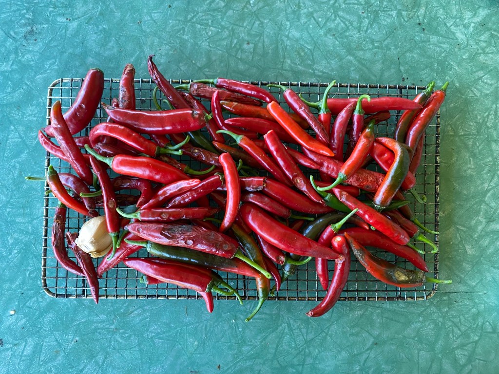 Chilli condiments for an abundance of&nbsp;chillies